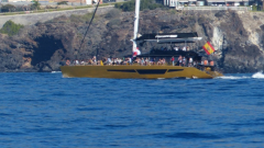 P1080561k