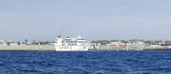 093526