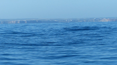 P1090827l