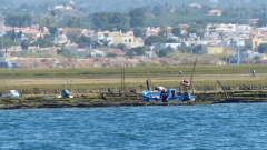 P1100442k