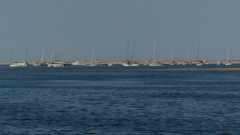 P1100555k