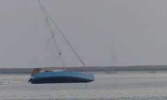 P1100833k