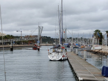 steg_144631